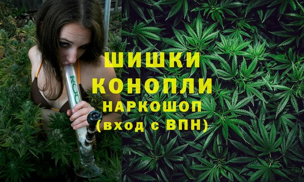 ПСИЛОЦИБИНОВЫЕ ГРИБЫ Няндома