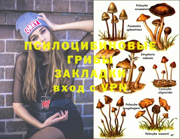 молекула духа Нягань