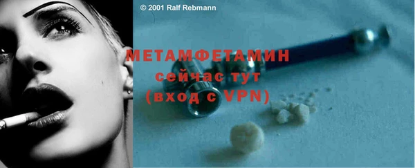 ПСИЛОЦИБИНОВЫЕ ГРИБЫ Няндома