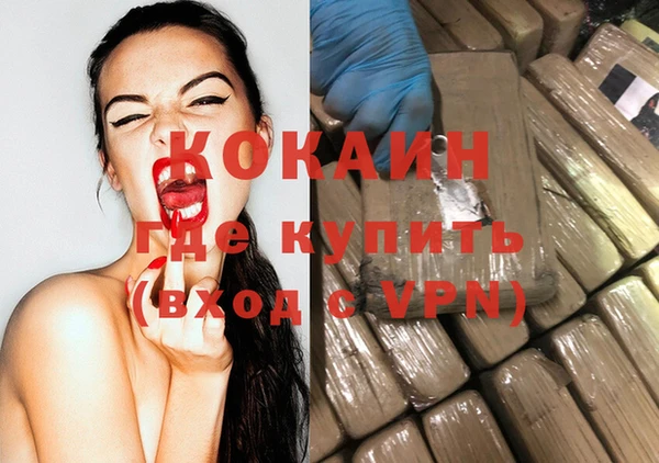 ПСИЛОЦИБИНОВЫЕ ГРИБЫ Няндома