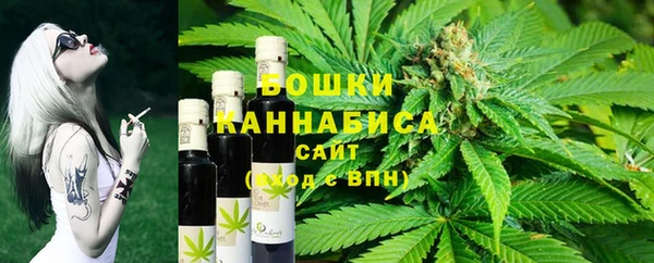 ПСИЛОЦИБИНОВЫЕ ГРИБЫ Няндома