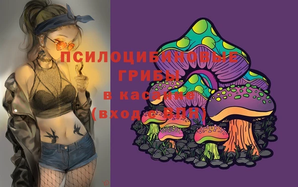 эйфоретик Нязепетровск