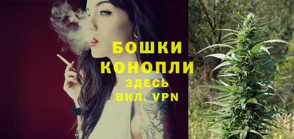 молекула духа Нягань