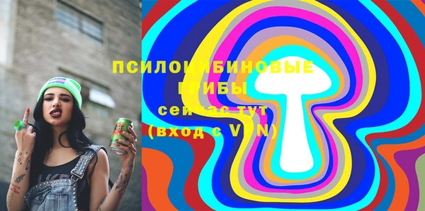 молекула духа Нягань