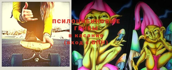 гашик Осташков