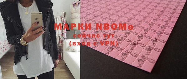 ПСИЛОЦИБИНОВЫЕ ГРИБЫ Няндома