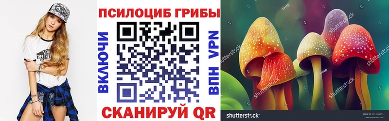 Псилоцибиновые грибы Magic Shrooms  Курильск 